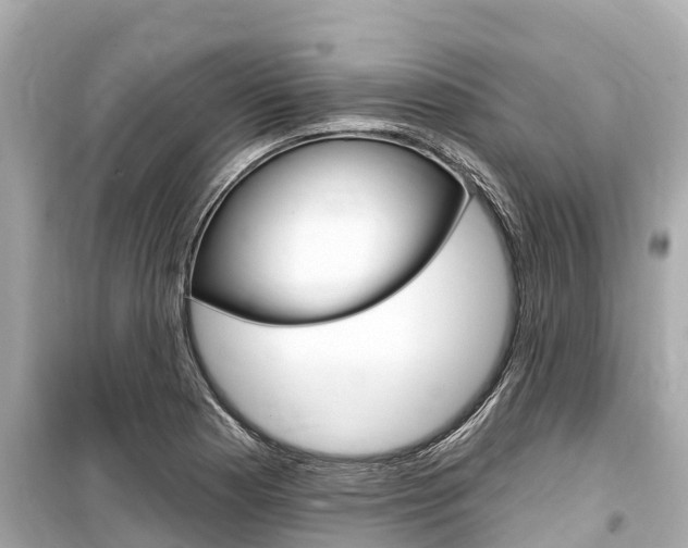 X0000099561177200805160743