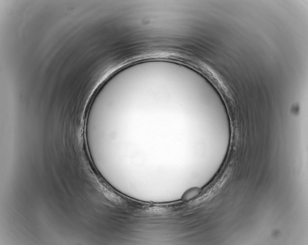 X0000099561178200805160743