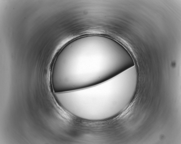 X0000099561179200805160743