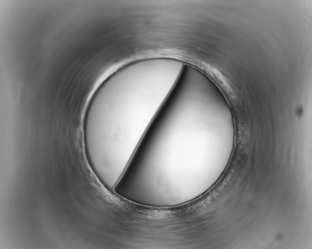 X0000099561184200805160743