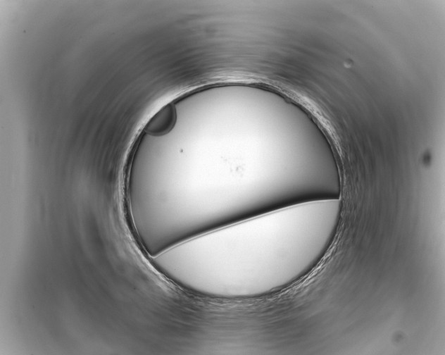 X0000099561187200805160743