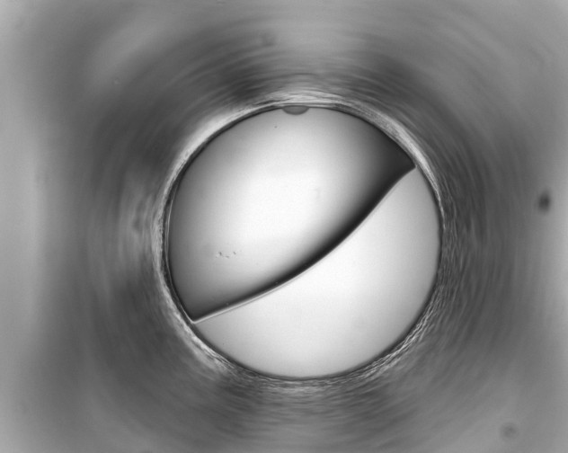 X0000099561195200805160743