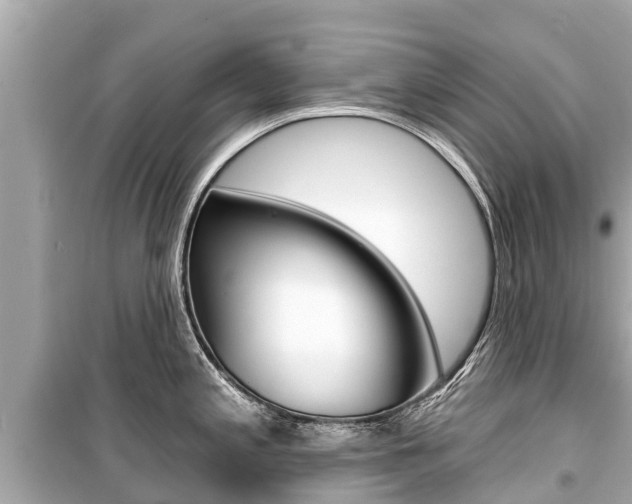 X0000099561197200805160743