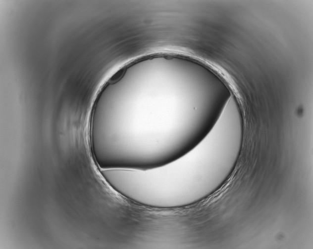 X0000099561199200805160743