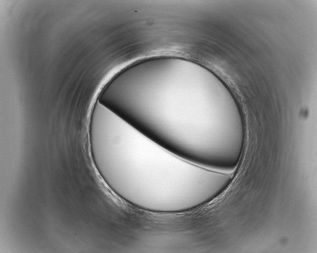X0000099561200200805160743
