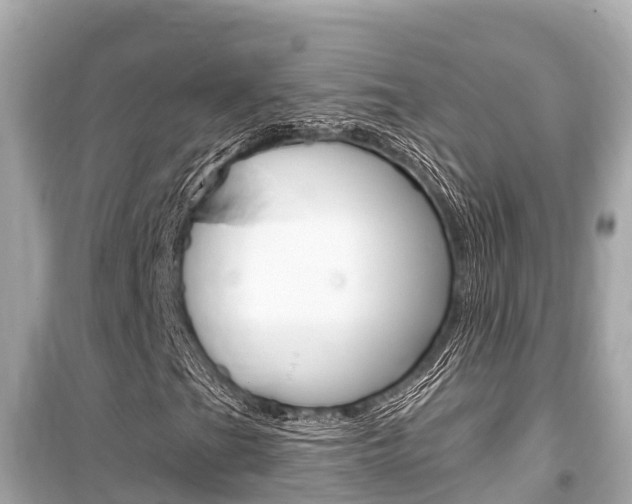 X0000099561201200805160742