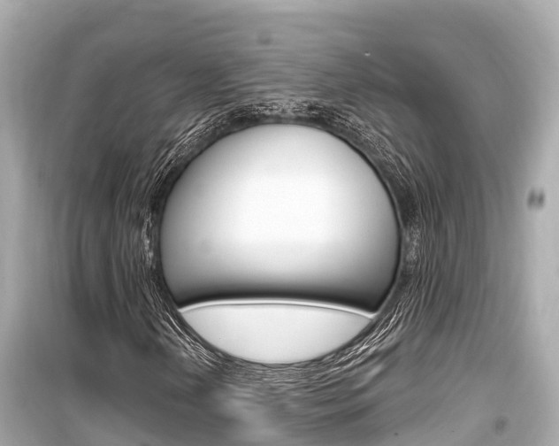 X0000099561202200805160742