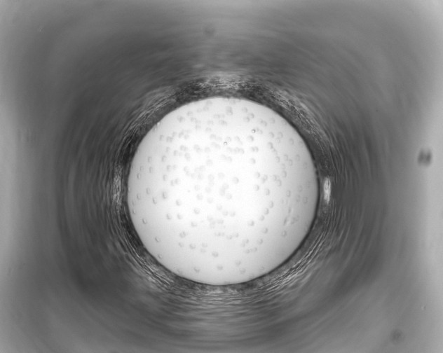 X0000099561203200805160742