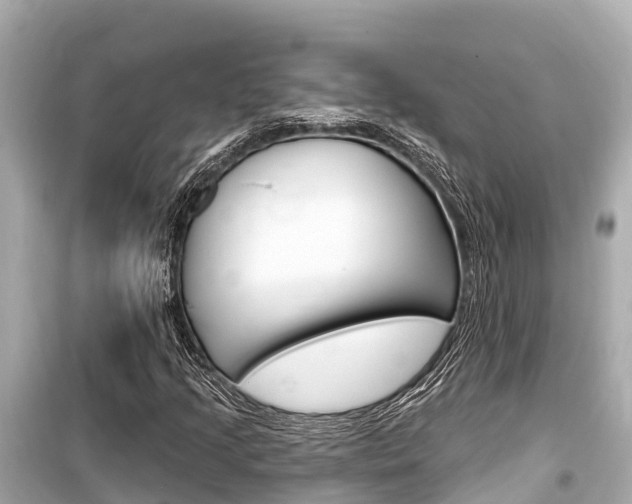 X0000099561205200805160742