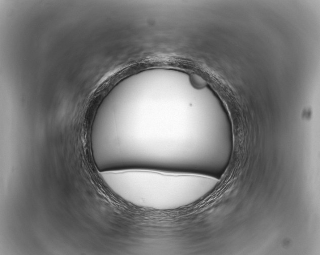 X0000099561206200805160742