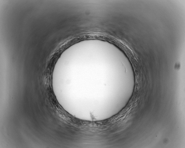X0000099561207200805160742