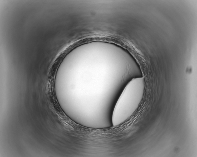 X0000099561208200805160742