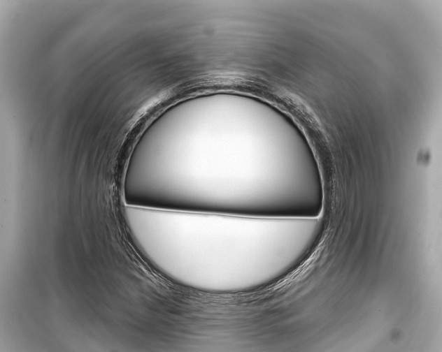 X0000099561210200805160742