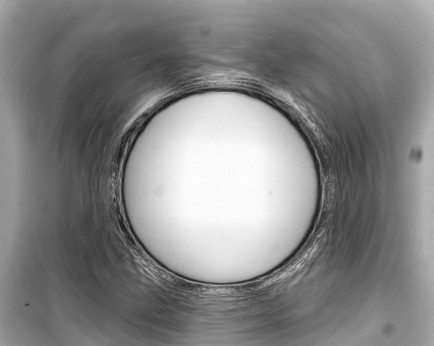 X0000099561211200805160742
