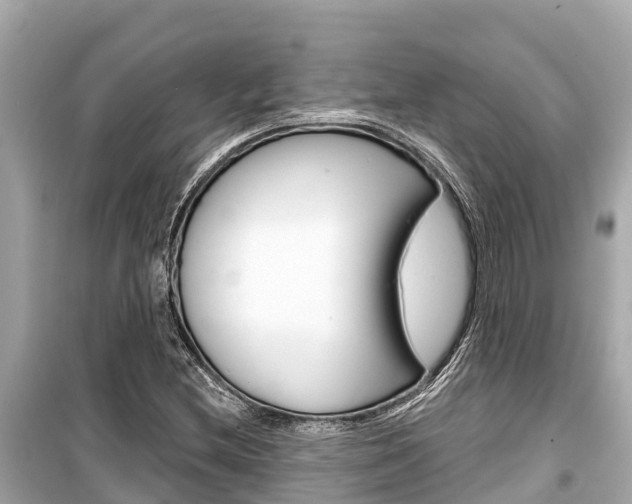 X0000099561212200805160742