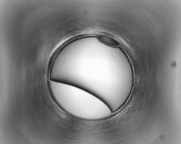 X0000099561216200805160742