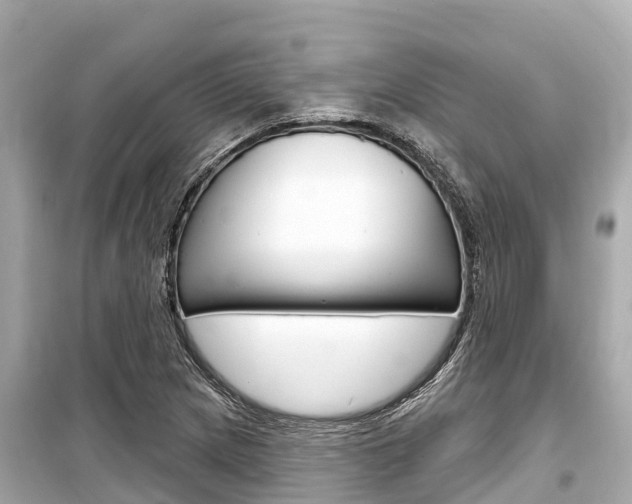 X0000099561217200805160742