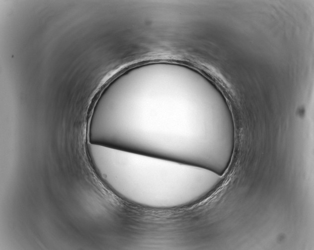 X0000099561220200805160742