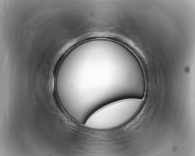 X0000099561221200805160742