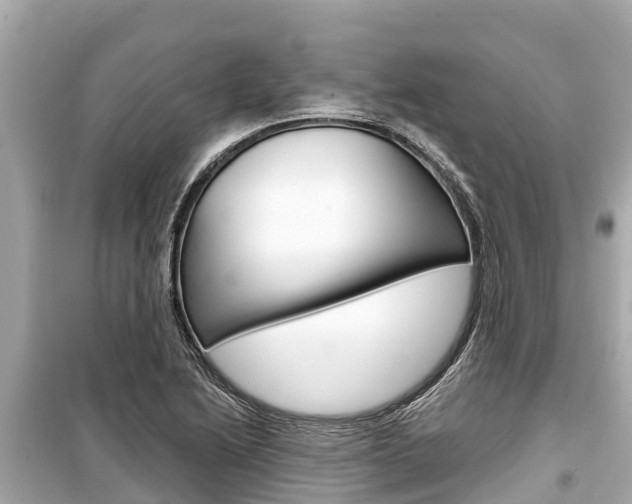 X0000099561222200805160742