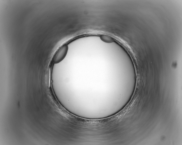 X0000099561223200805160742