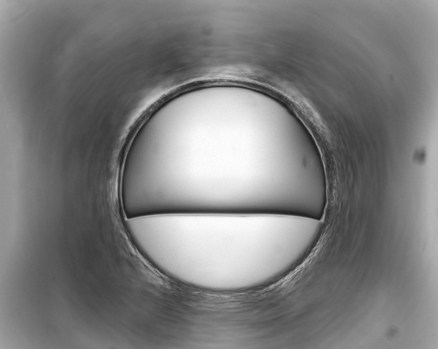 X0000099561224200805160742