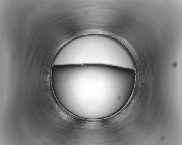 X0000099561225200805160742