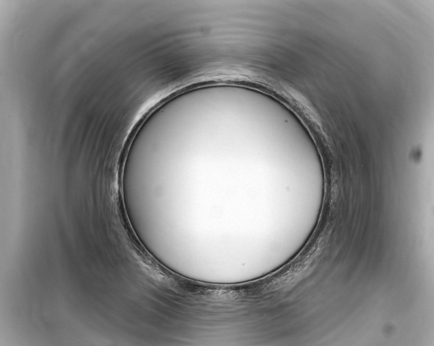 X0000099561226200805160742