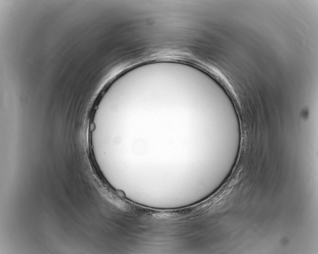 X0000099561227200805160742