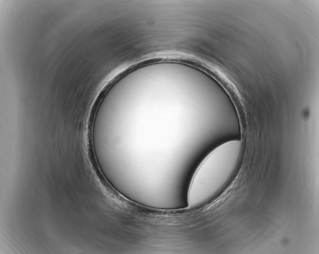 X0000099561229200805160742