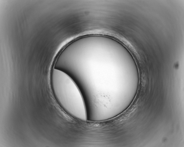 X0000099561230200805160742