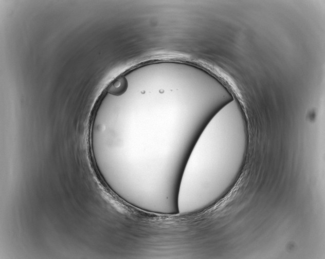 X0000099561231200805160742