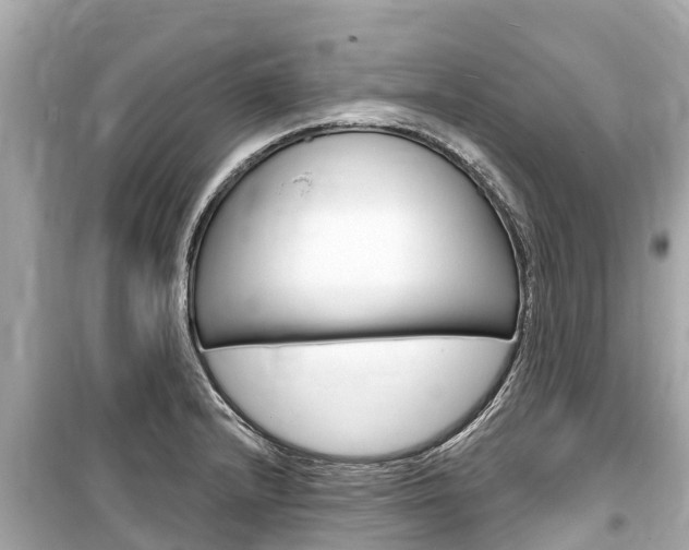 X0000099561232200805160742