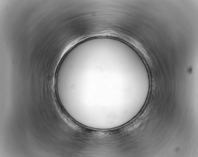 X0000099561234200805160742