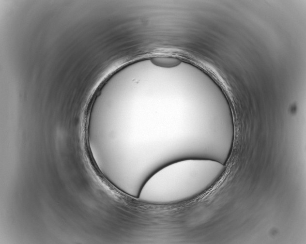 X0000099561235200805160742