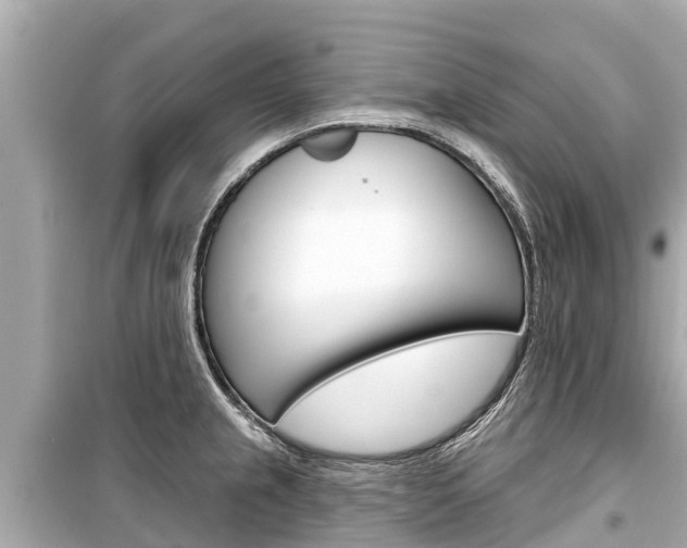 X0000099561237200805160742