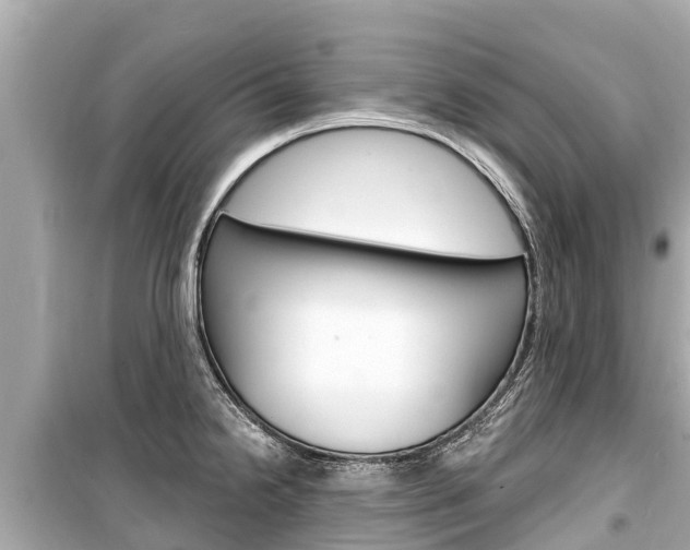 X0000099561238200805160742