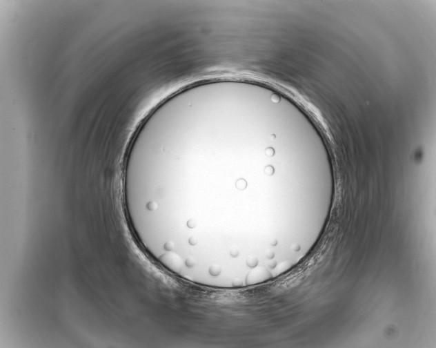 X0000099561239200805160742
