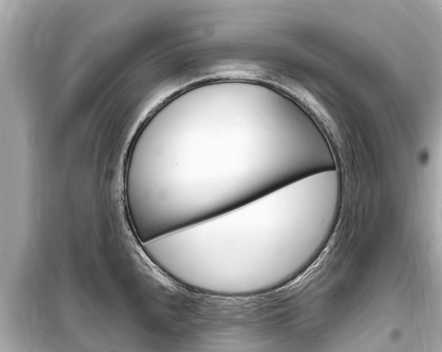 X0000099561240200805160742