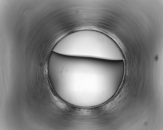 X0000099561241200805160742