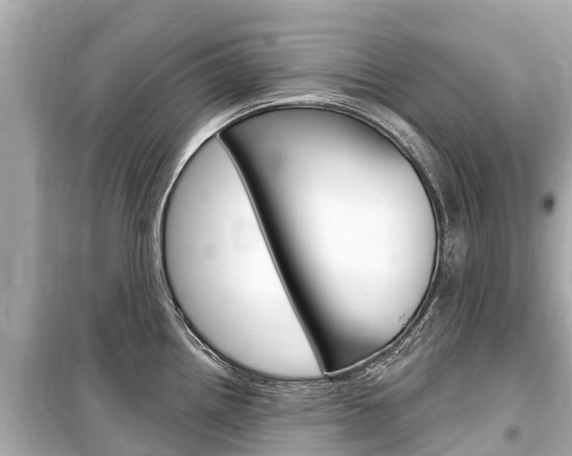 X0000099561242200805160743