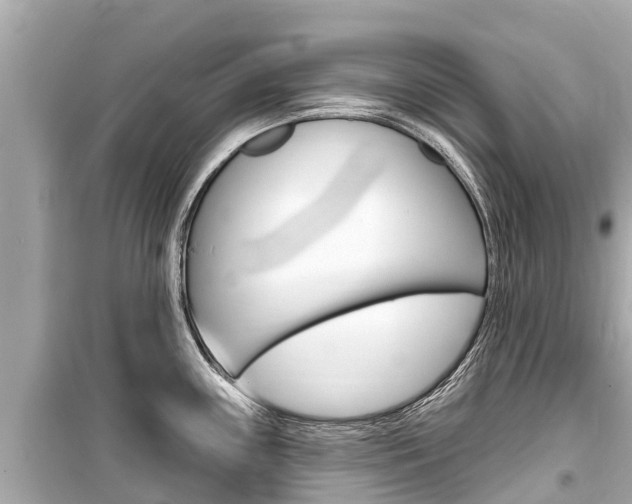 X0000099561243200805160743