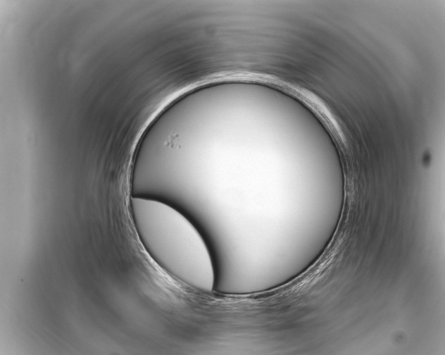 X0000099561244200805160743