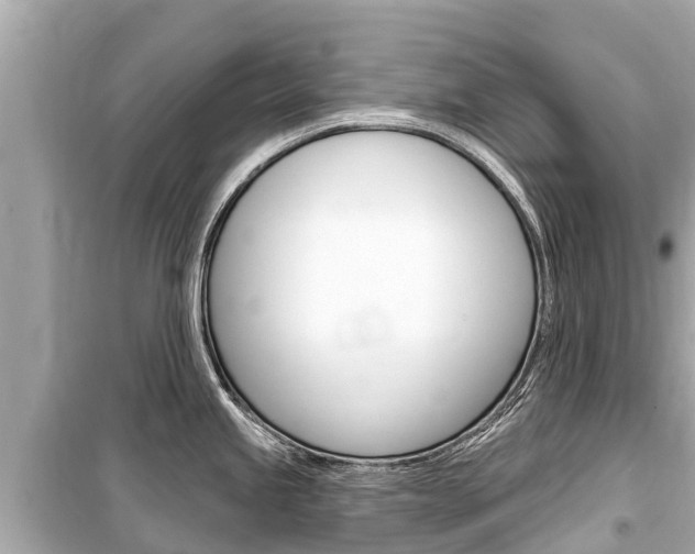 X0000099561245200805160743