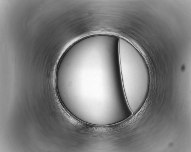 X0000099561246200805160743