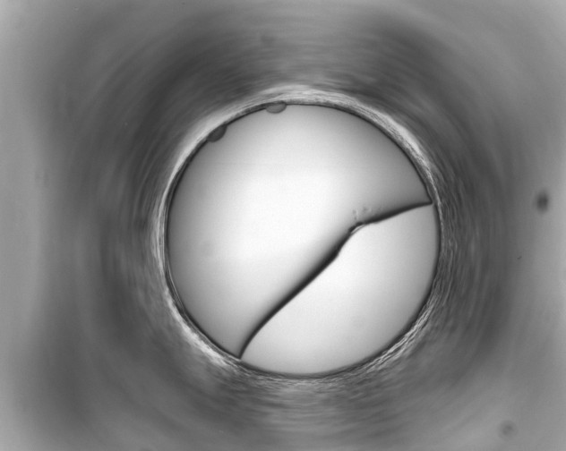 X0000099561247200805160743