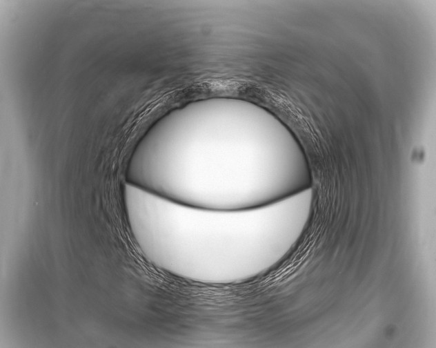 X0000099561249200805160742