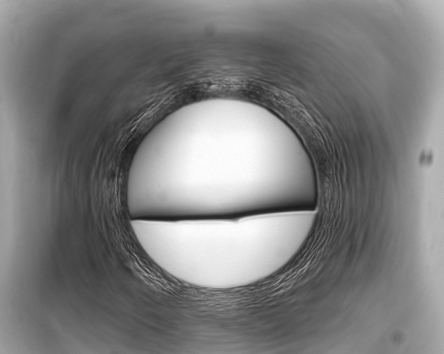 X0000099561250200805160742