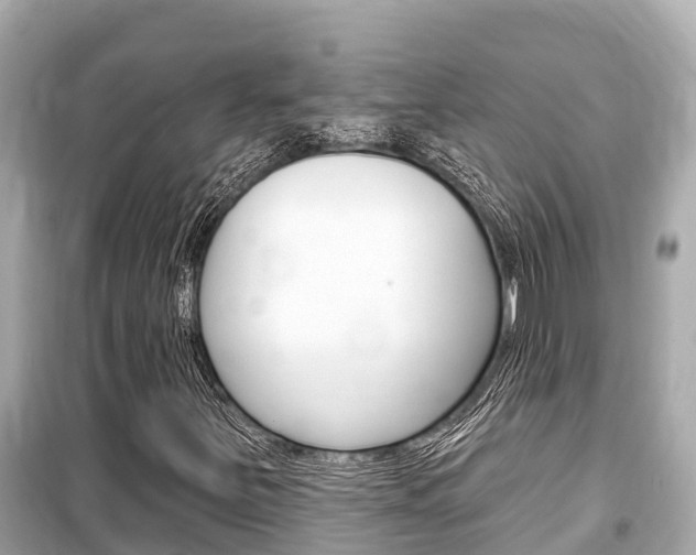 X0000099561251200805160742