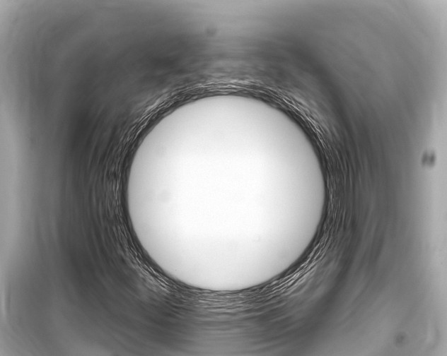 X0000099561252200805160742